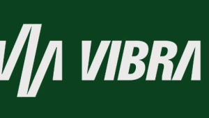 Vibra (VBBR3) e as ações ESG mais recomendadas para março de 2024
