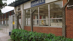 Eucatex (EUCA4): lucro líquido cai 30,90% em um ano, a R$ 59,6 milhões no primeiro trimestre