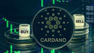 2024: Ano chave para Cardano (ADA) e Borroe Finance?