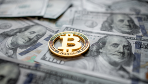 Desapontamento entre detentores de Bitcoin Cash com movimento para ICP & PUSHD na pré-venda