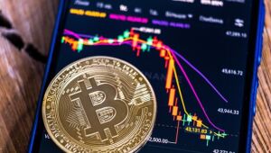 Bitcoin atinge US$44 mil com alta; pré-venda da IA se aproxima de US$10 milhões