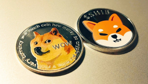 Comunidades de Dogecoin e Shiba Inu abraçam a pré-venda da Raffle Coin, prevendo 50x de aumento