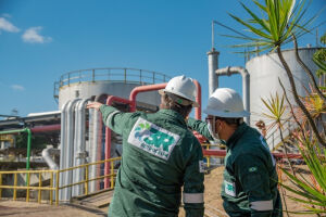 3R Petroleum (RRRP3): como a Genial avalia a produção de dezembro? 
