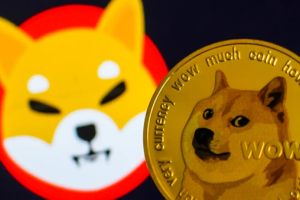 Unindo forças: Shiba Inu e Dogecoin. O futuro da criptomoeda se revela na sinergia desses ícones. #CryptoUnity #ShibaInu #Dogecoin