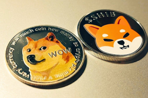 Comunidades de Dogecoin e Shiba Inu entusiasmadas com a pré-venda da Raffle Coin, prevendo um aumento de preço de 50x