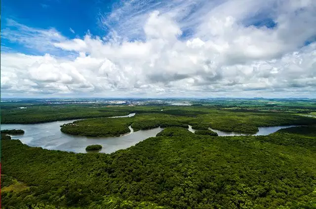 Amazônia Brasil