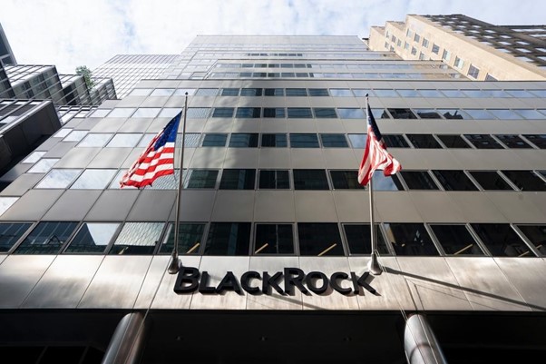VanEck e BlackRock anunciam ETFs de Bitcoin no Google, impulsionando o mercado de criptomoedas