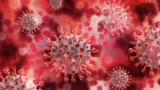Descoberta nova variante do coronavírus com grande número de mutações - SpaceMoney