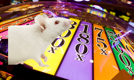 5 Plataformas Novas Para Jogar Fortune Mouse em 2023